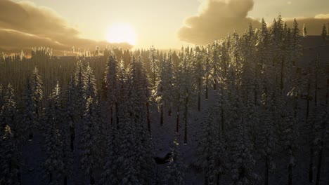 Fantastische-Abendliche-Winterlandschaft